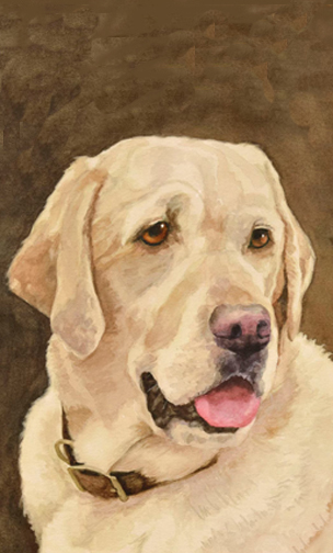 ESL English Listening esl-bits.org :: English Learning Adult Literacy adult-literacy.us