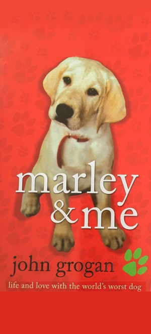 ESL English Listening esl-bits.org :: English Learning Adult Literacy adult-literacy.us