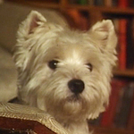 Short Stories for English Language Learners