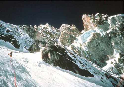 image_25.jpg