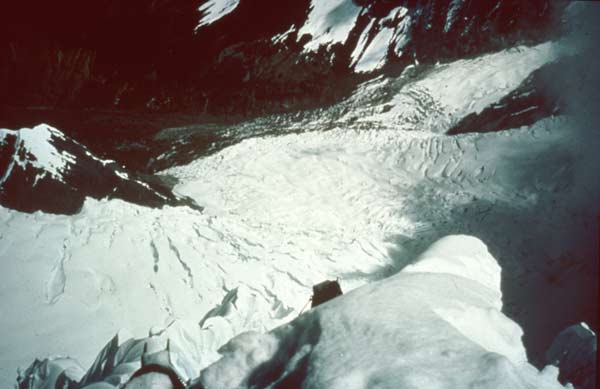 image_33.jpg