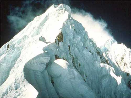 image_39.jpg