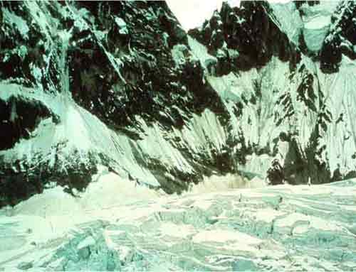 image_44.jpg