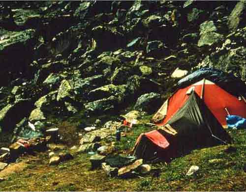 image_45.jpg