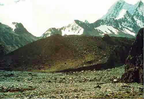 image_57.jpg