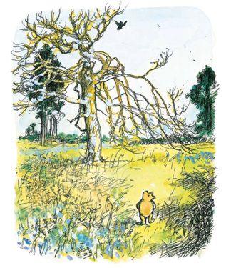 image 26